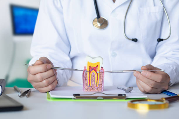 Best Emergency Root Canal Therapy in Rupert, WV